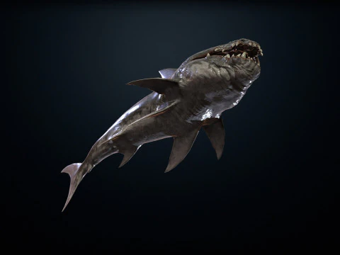 Shark2 3D Model