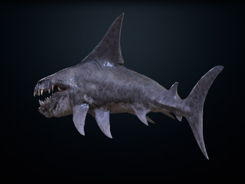 Shark2 3Dモデル