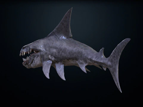 Shark2 3D Model