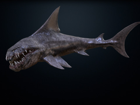 Shark2 3Dモデル