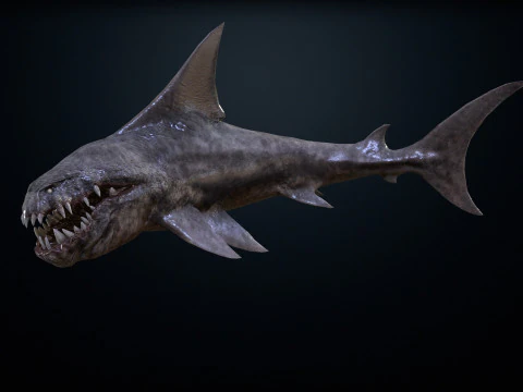 Shark2 3D Model