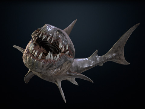Shark2 3Dモデル