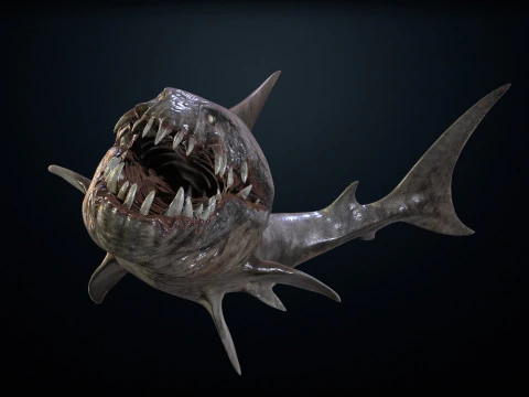 Shark2 3D Model