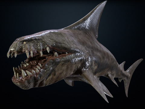 Shark2 3Dモデル