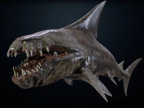 Shark2 3D Model