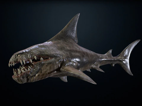 Shark2 3D Model