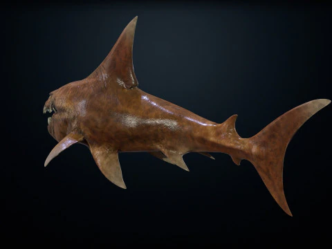 Shark2 3D Model