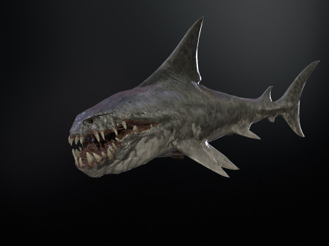 Shark2 3Dモデル