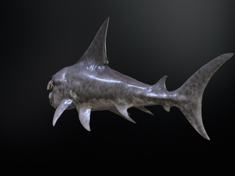 Shark2 3Dモデル