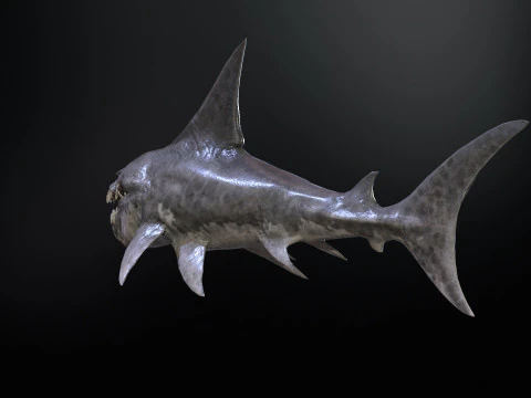 Shark2 3D Model