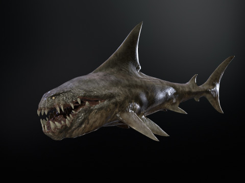 Shark2 3Dモデル