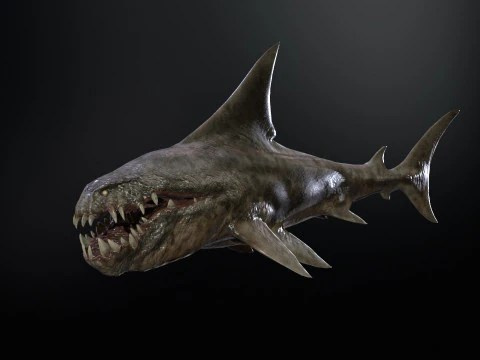 Shark2 3D Model