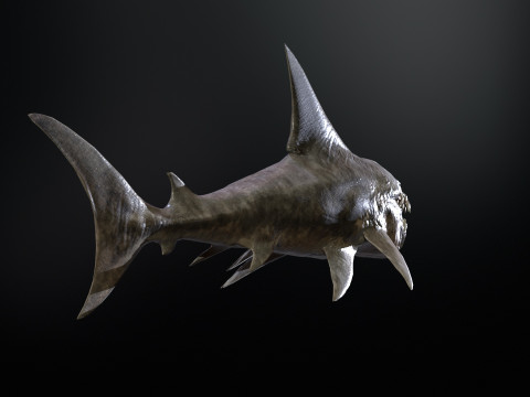 Shark2 3Dモデル