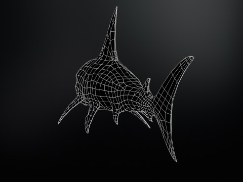 Shark2 3Dモデル