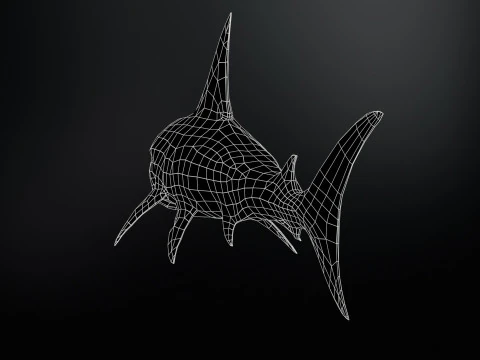 Shark2 3D Model