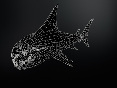 Shark2 3Dモデル