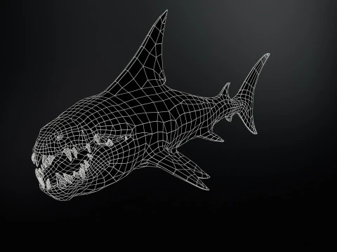 Shark2 3D Model