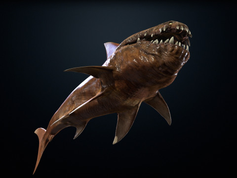 Shark2 3Dモデル