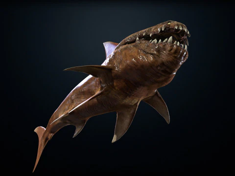 Shark2 3D Model
