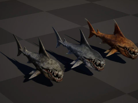 Shark2 3D Model