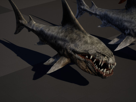 Shark2 3Dモデル