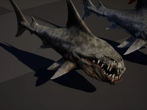 Shark2 3D Model