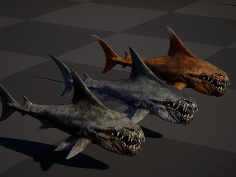 Shark2 3Dモデル