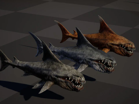 Shark2 3D Model