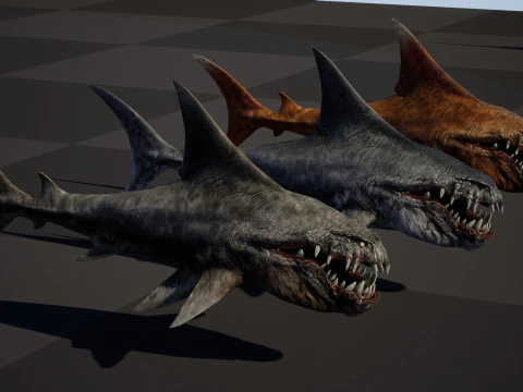 Shark2 3D Model