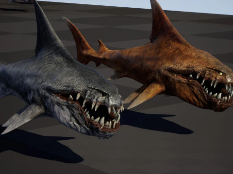 Shark2 3D Model