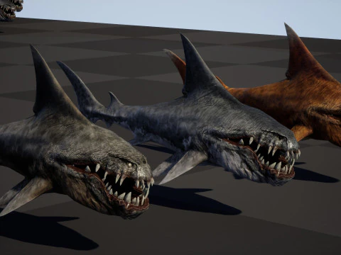 Shark2 3D Model
