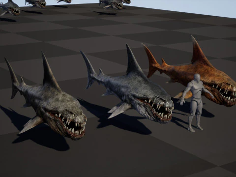 Shark2 3D Model