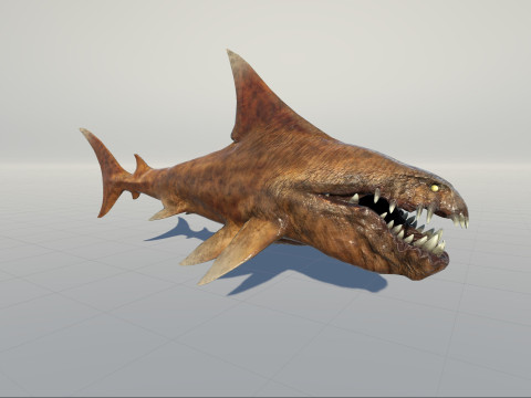 Shark2 3Dモデル