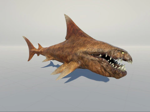 Shark2 3D Model