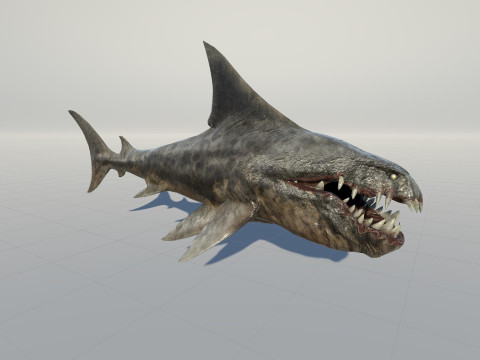 Shark2 3Dモデル