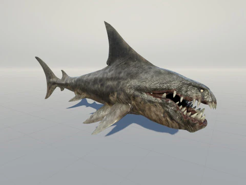 Shark2 3D Model