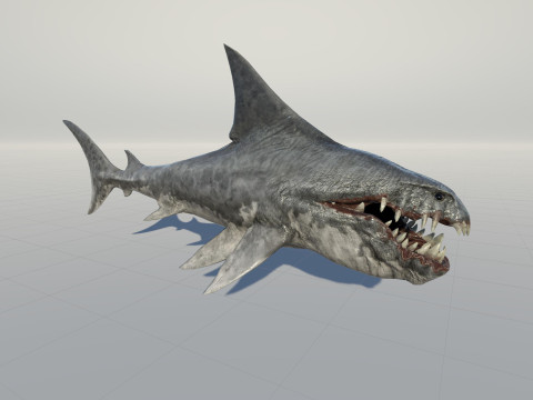 Shark2 3Dモデル