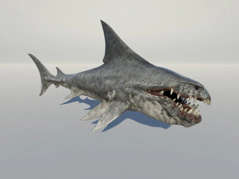 Shark2 3D Model