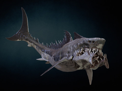 Shark 3Dモデル