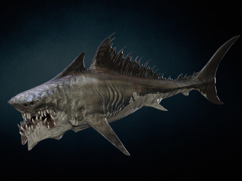 Shark 3Dモデル