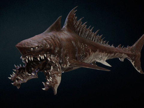 Shark 3Dモデル