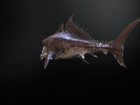 Shark 3Dモデル