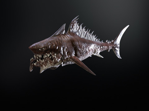 Shark 3Dモデル