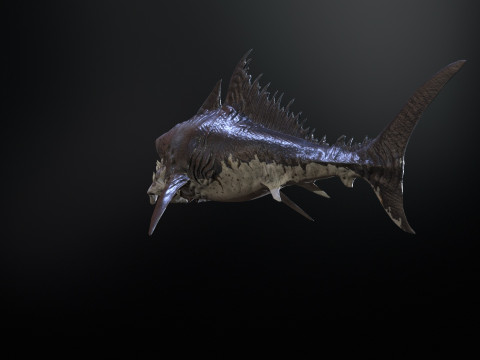 Shark 3Dモデル