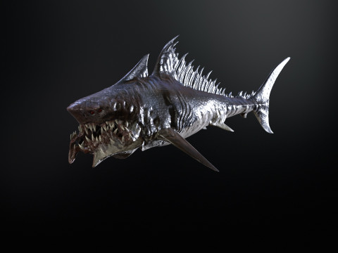 Shark 3Dモデル
