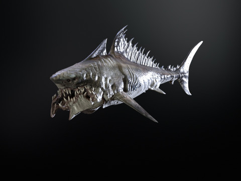 Shark 3Dモデル
