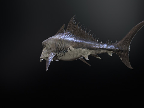 Shark 3Dモデル