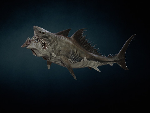 Shark 3Dモデル