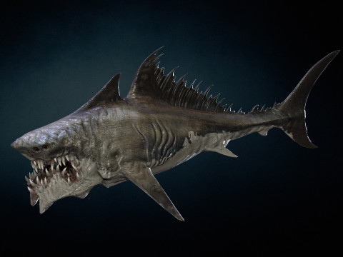 Shark 3Dモデル