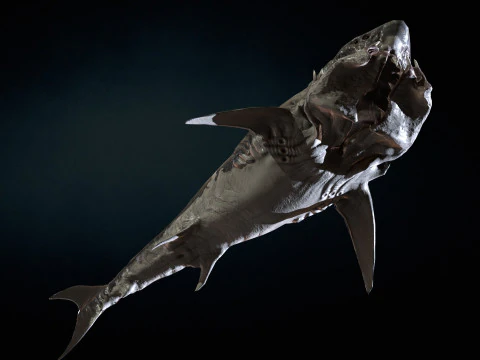 Tibur&oacute;n Modelo 3D